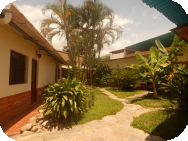 Jungle Lodge