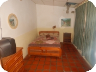 Jungle Lodge